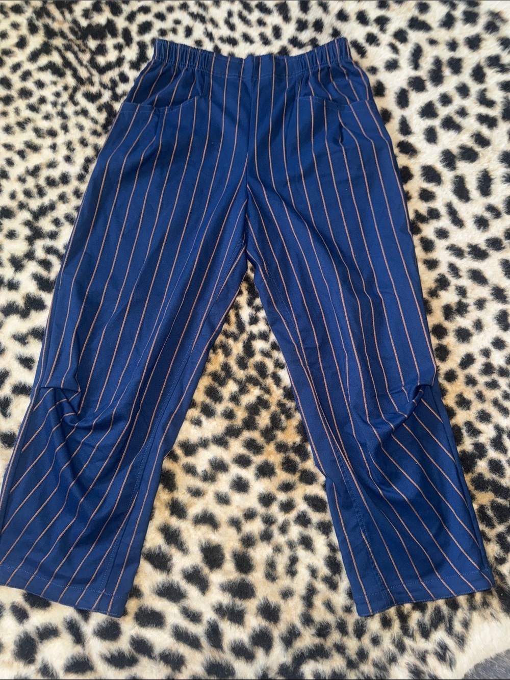 Free People Navy Pants with Thin Pink Stripes